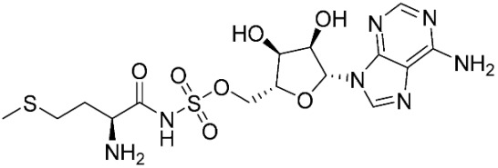 graphic file with name pharmaceuticals-16-01263-i021.jpg