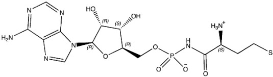 graphic file with name pharmaceuticals-16-01263-i007.jpg