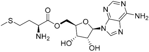 graphic file with name pharmaceuticals-16-01263-i032.jpg