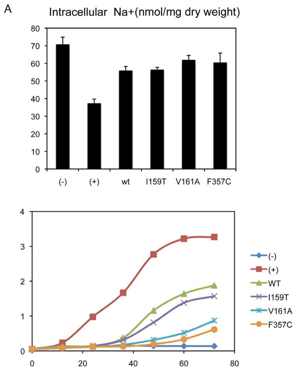 Figure 5