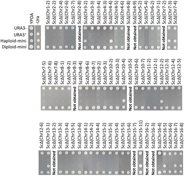 Figure 4.