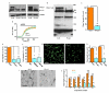 Extended Data Figure 2