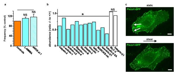 Extended Data Figure 8