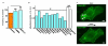 Extended Data Figure 8