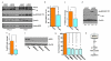 Extended Data Figure 7