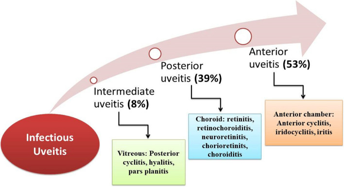 Fig. 4