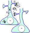 Fig. 8