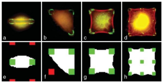 FIG. 1