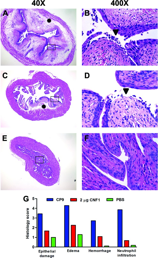 Fig 4