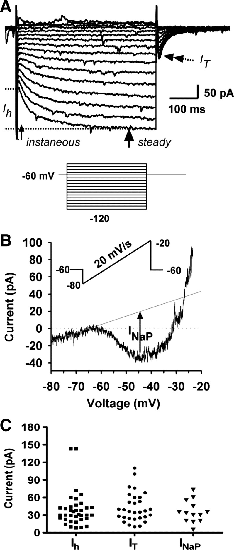 Fig. 4.