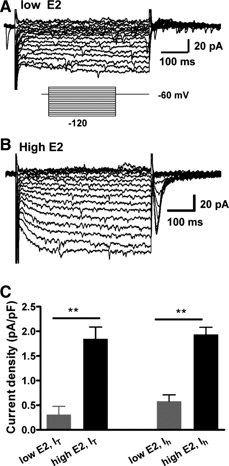 Fig. 8.