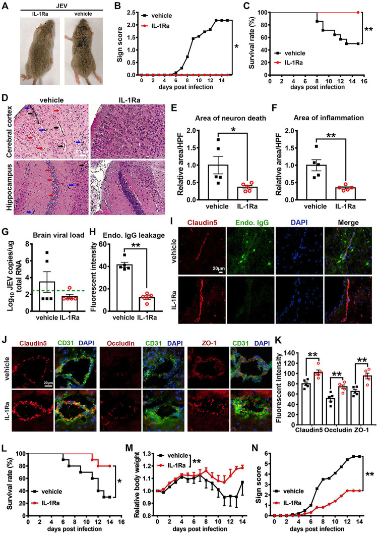 FIG 14