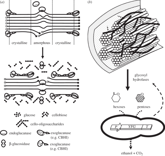 Figure 2.