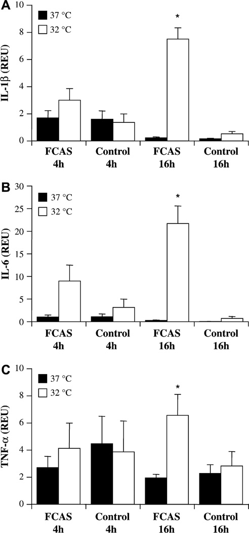 FIG 2