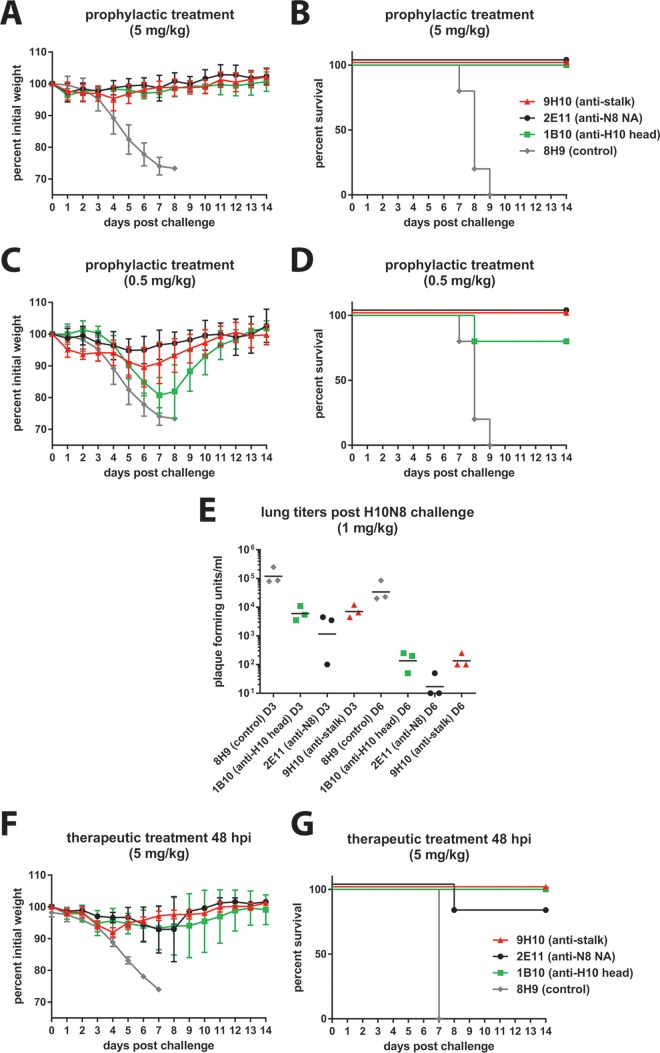 FIG 6