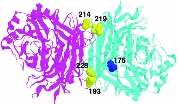 FIG. 8.