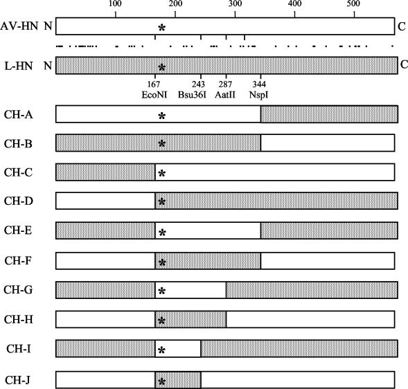 FIG. 1.