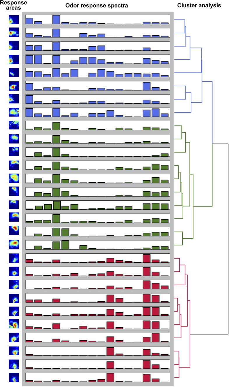 Figure 2—figure supplement 3.