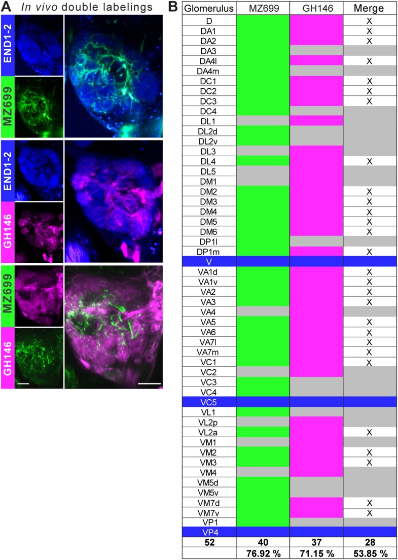 Figure 1—figure supplement 2.