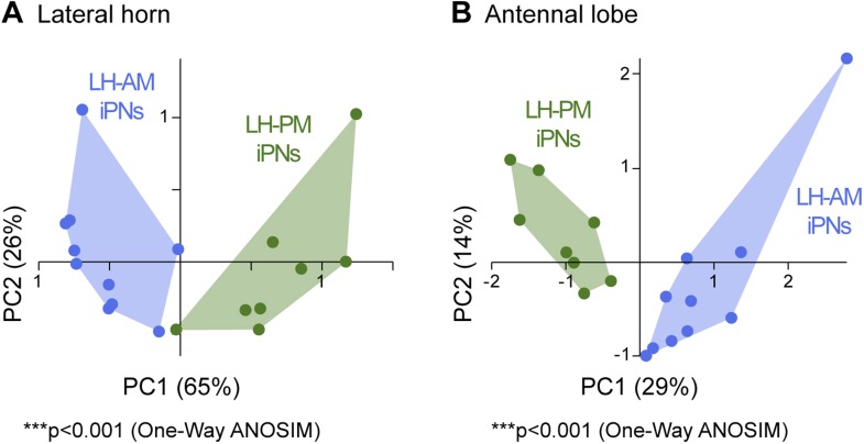 Figure 3—figure supplement 1.