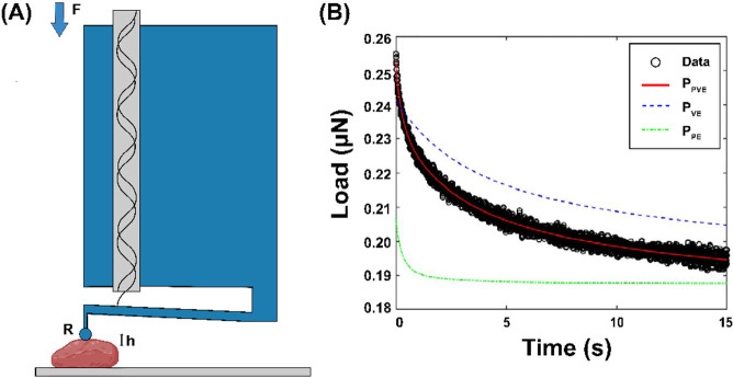 Fig. 2.