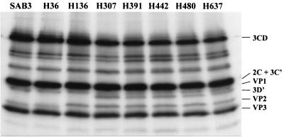 FIG. 6