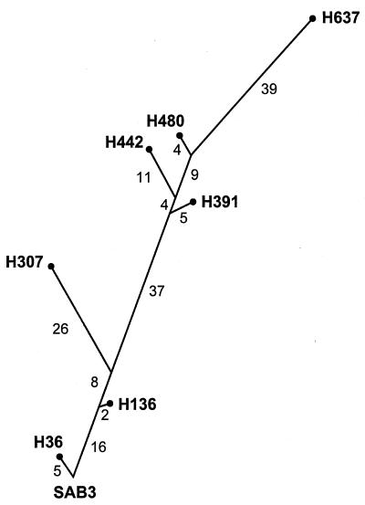 FIG. 5