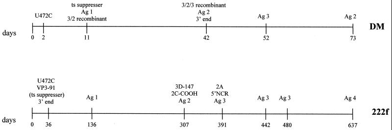 FIG. 7