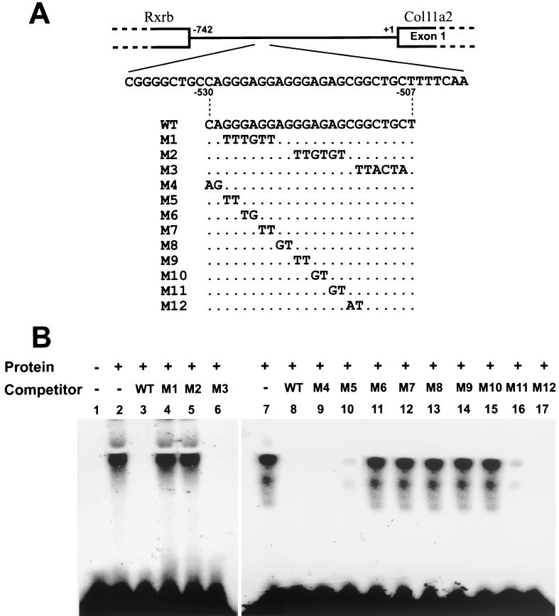 FIG. 6.