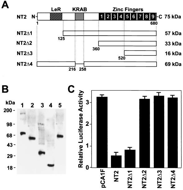 FIG. 8.