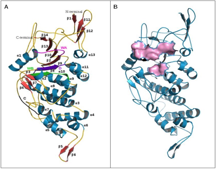 Fig 8