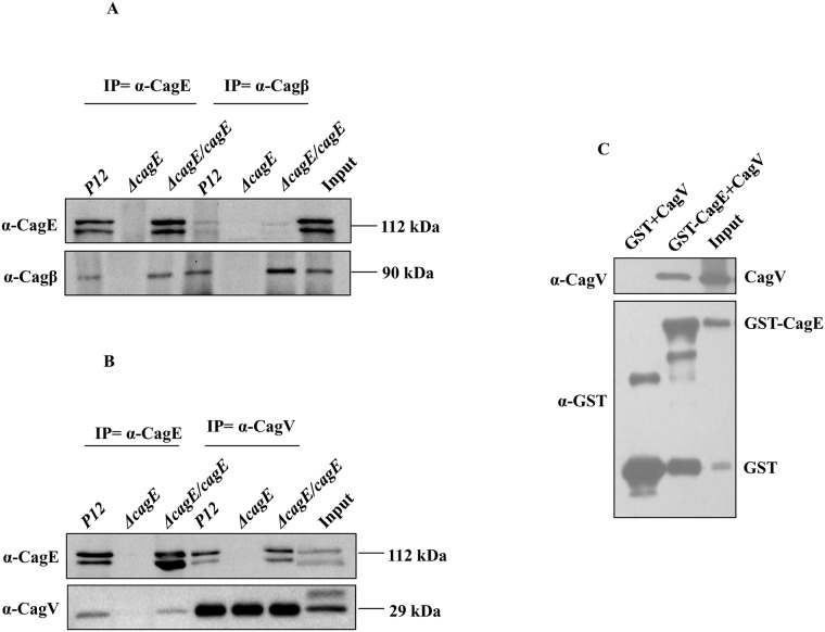 Fig 3