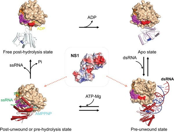 Figure 7