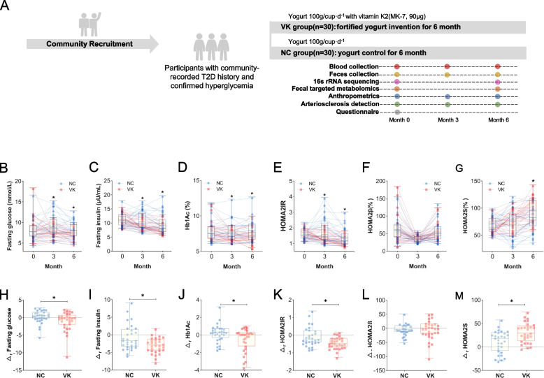Vitamin K2 supplementation improves impaired glycemic homeostasis and