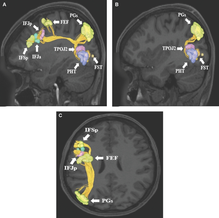 FIGURE 10.