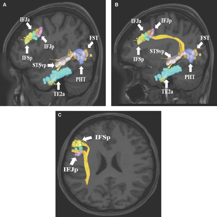 FIGURE 13.