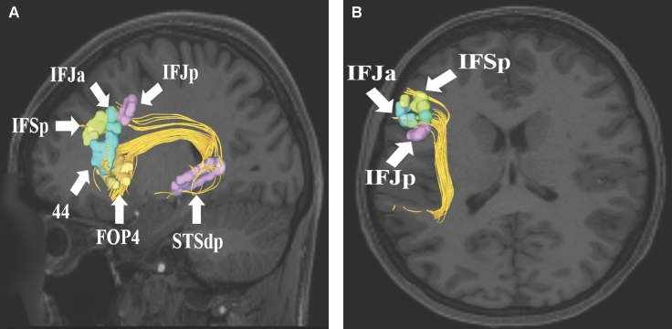 FIGURE 12.