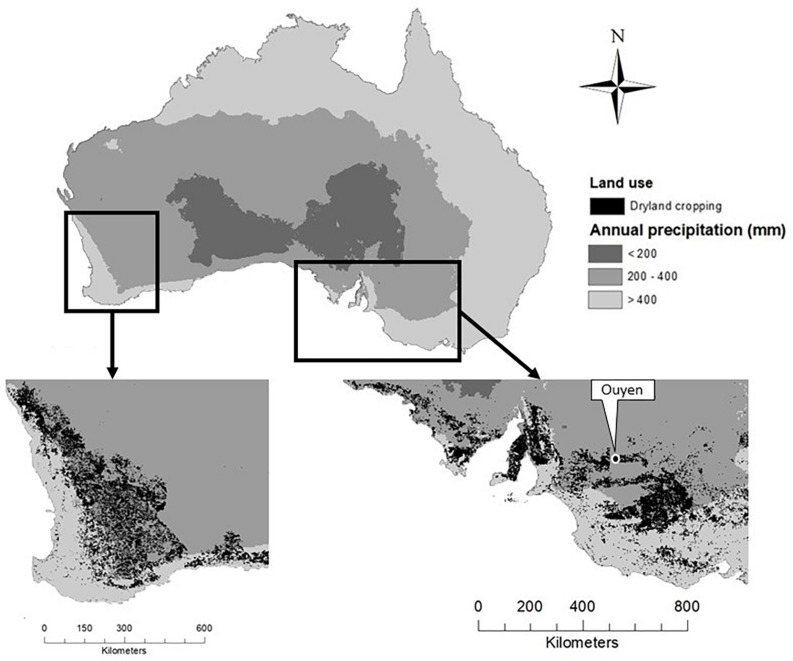 FIGURE 3