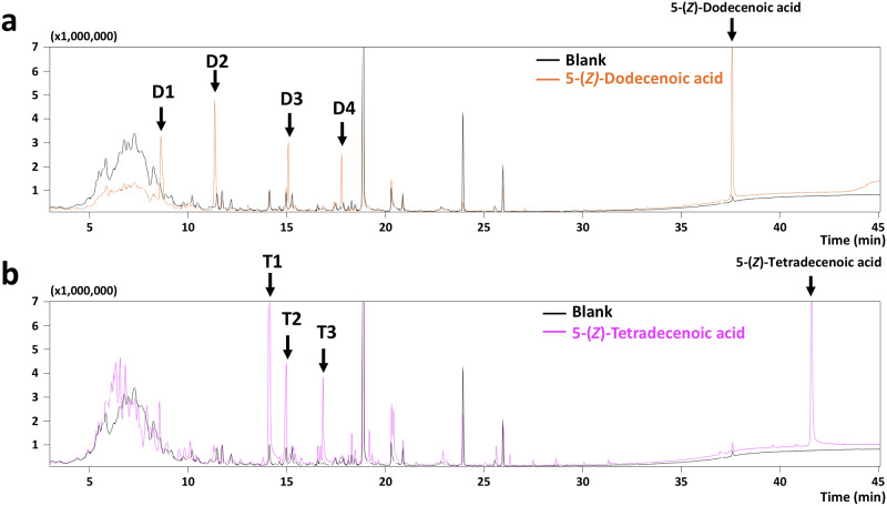 Fig 5