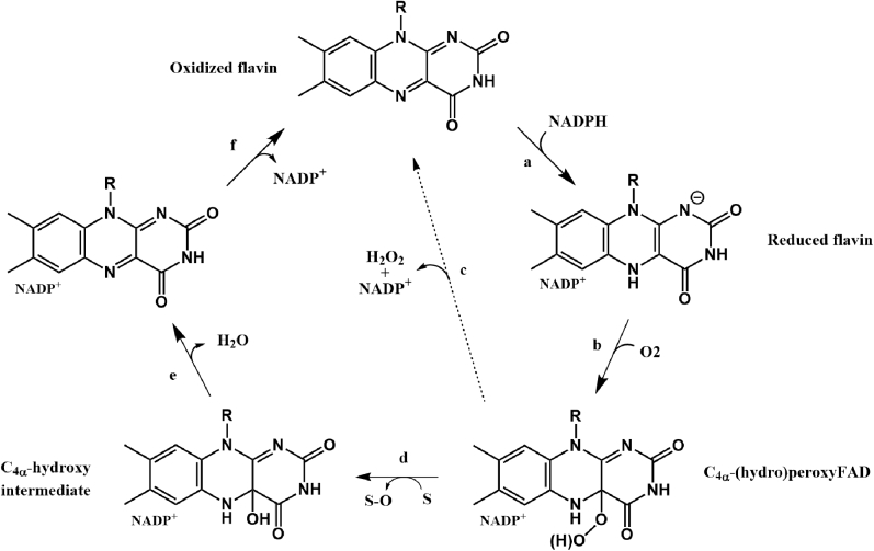 Figure 1