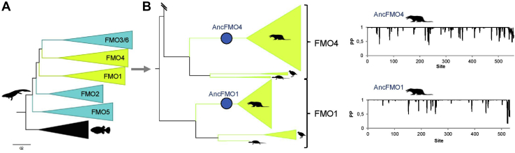 Figure 2