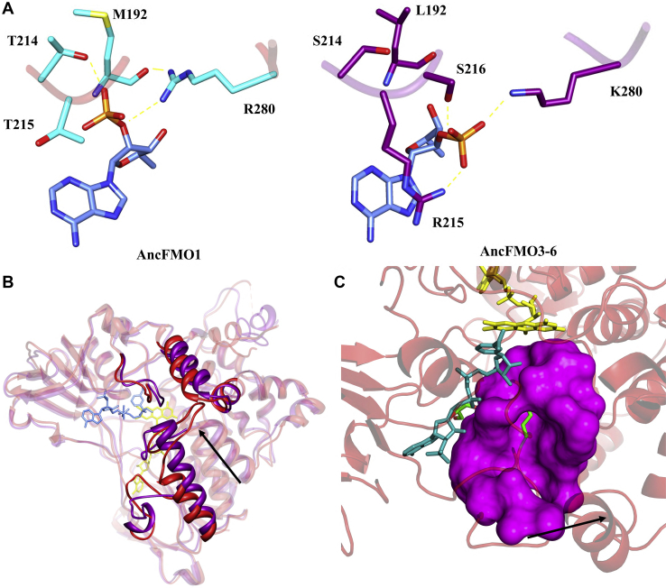 Figure 5