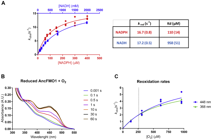 Figure 3