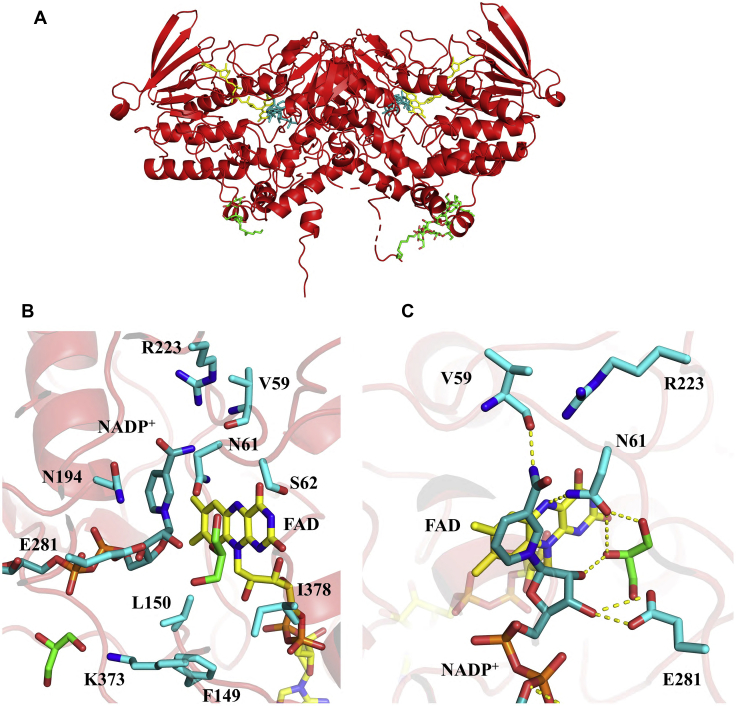 Figure 4