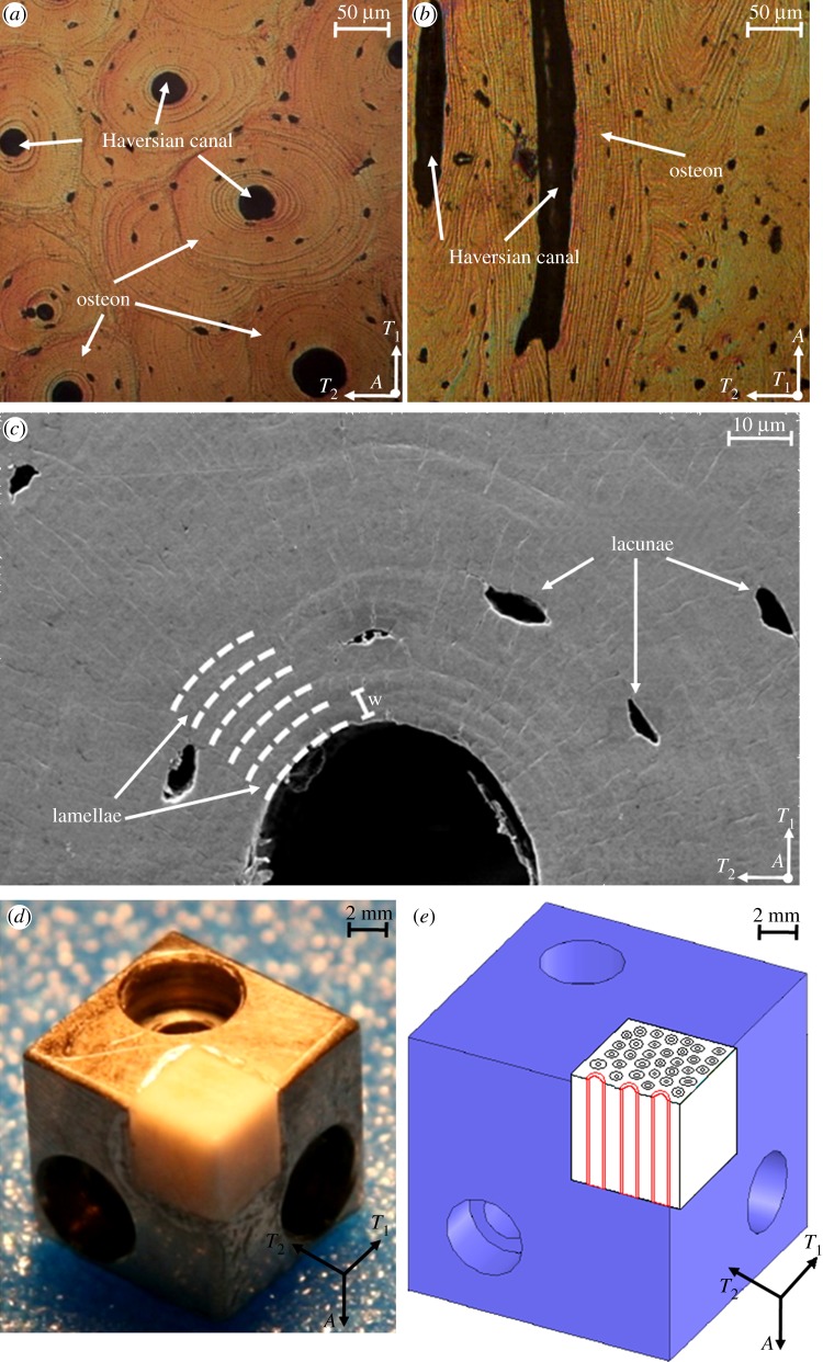 Figure 1.