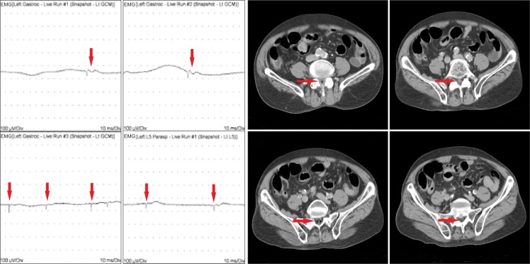 Fig. 2.