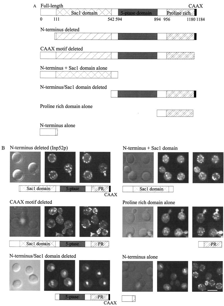 FIG. 6