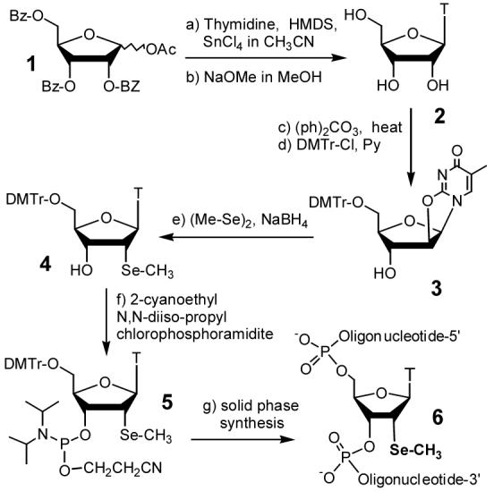 Scheme 1