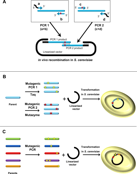 Fig. (1)