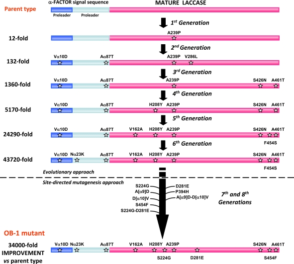 Fig. (4)